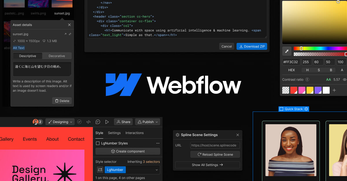 Webflow Interface