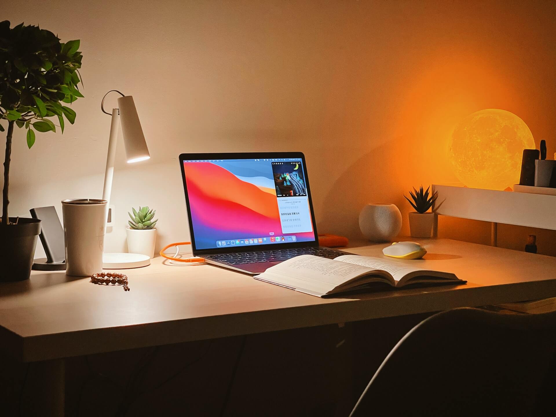the workspace of a remote developer
